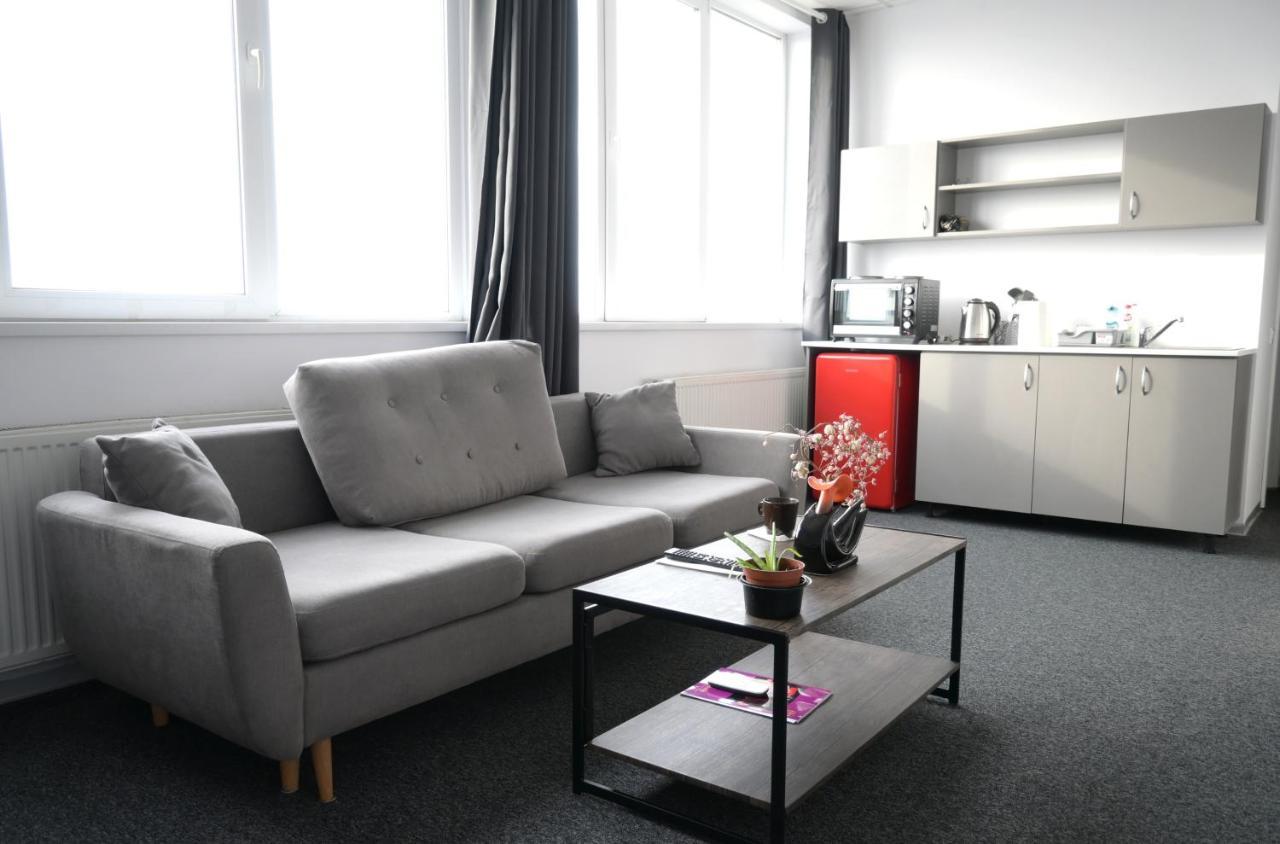 Luana Airport Apartments #9 Otopeni Eksteriør billede